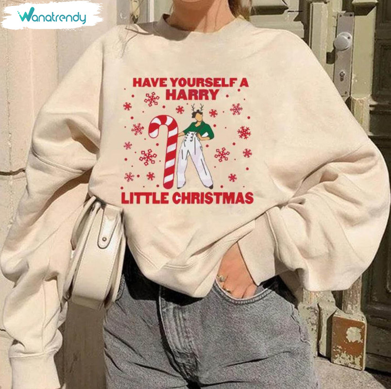 Have Yourself A Harry Little Christmas Shirt, Christmas Funny Long Sleeve Unisex Hoodie