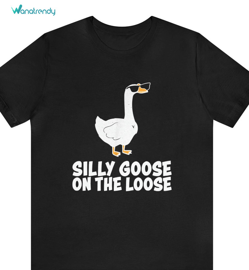 Silly Goose On The Loose Shirt, Goose Funny Crewneck Sweatshirt Long Sleeve