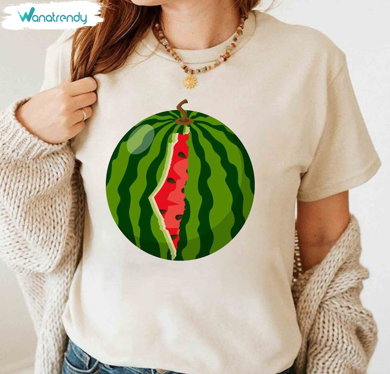 This Is Not A Watermelon Shirt, Palestine Flag Unisex Hoodie Crewneck Sweatshirt