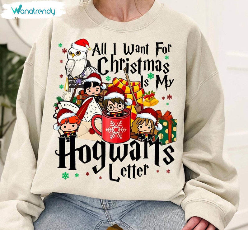 Hp Wizard School Christmas Shirt, Christmas Hp Unisex Hoodie Tee Tops