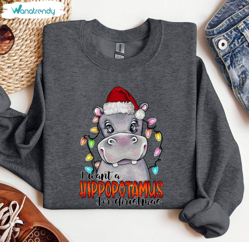 I Want A Hippopotamus For Christmas Shirt, Christmas Hippo Tee Tops Hoodie
