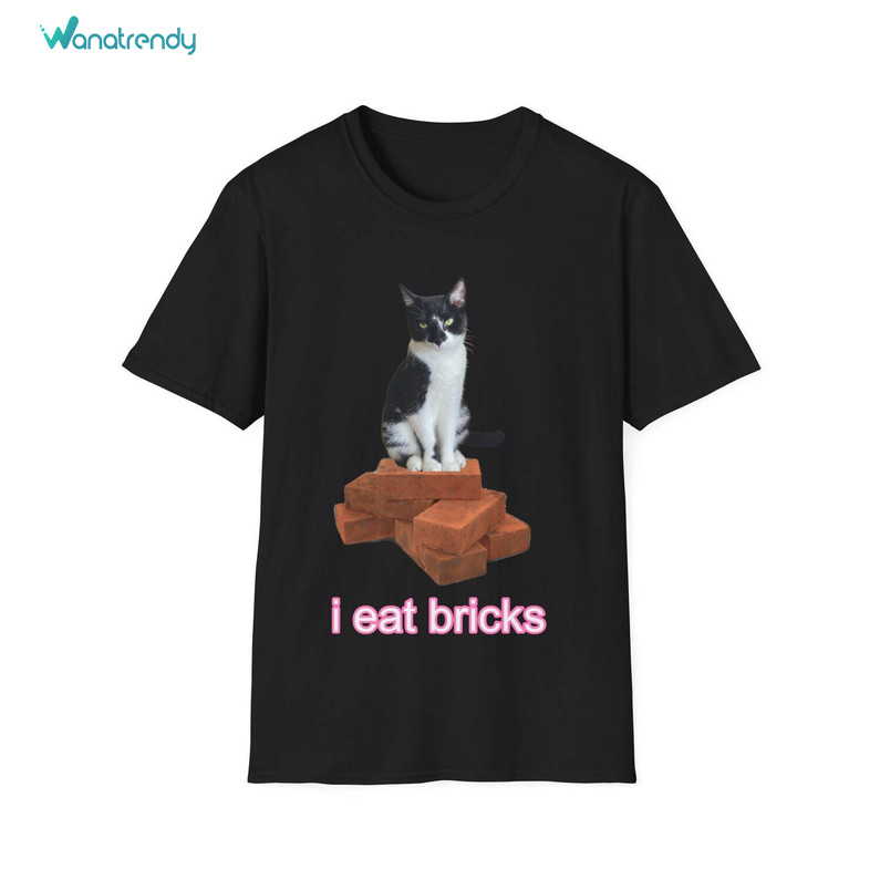 Cool Design I Eat Cement Cat Shirt, Groovy I Eat Bricks Unisex Hoodie Sweatshirt