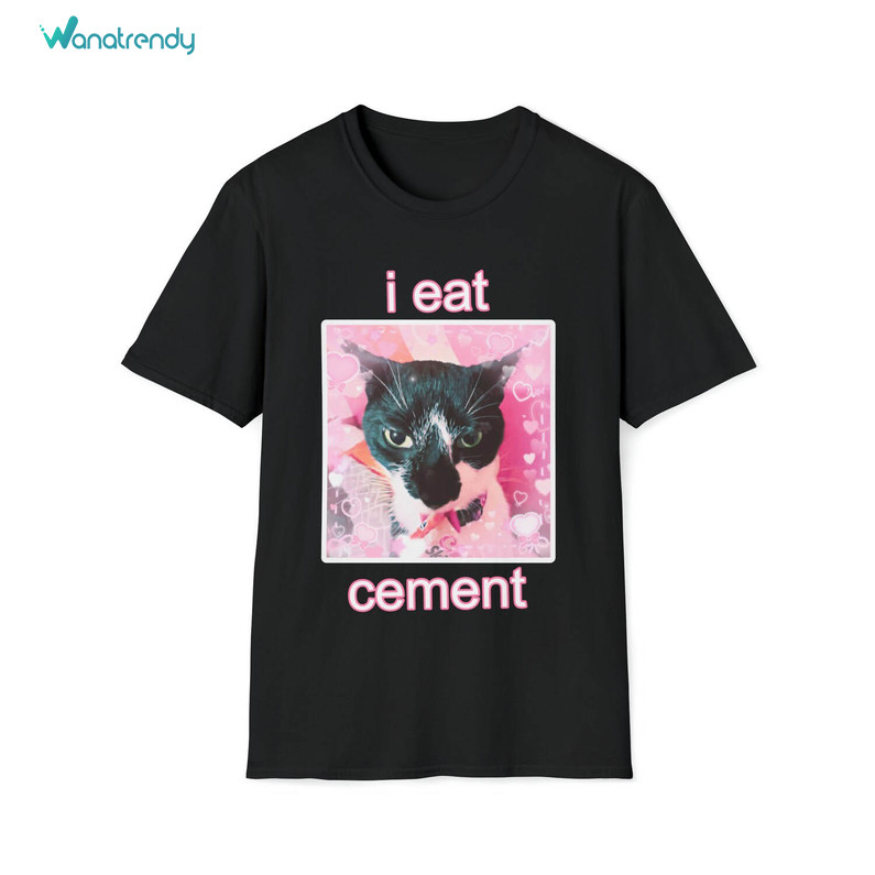 Must Have I Eat Cement Sweatshirt , Creative I Eat Cement Cat Shirt Unisex Hoodie