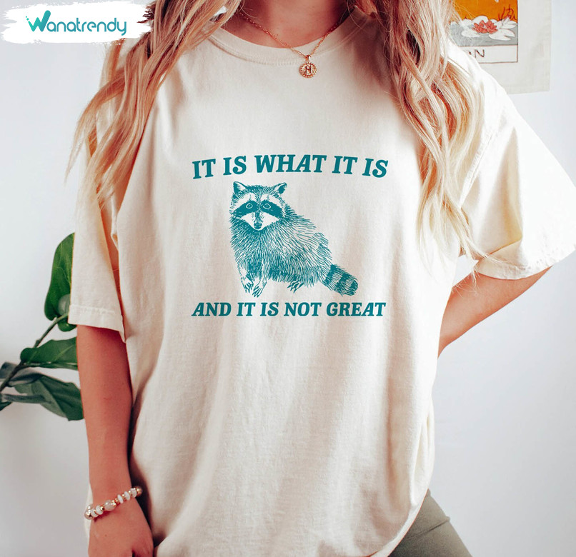 Fantastic It Is What It Is And It Ain't Great Shirt, Vintage Drawing Short Sleeve Long Sleeve