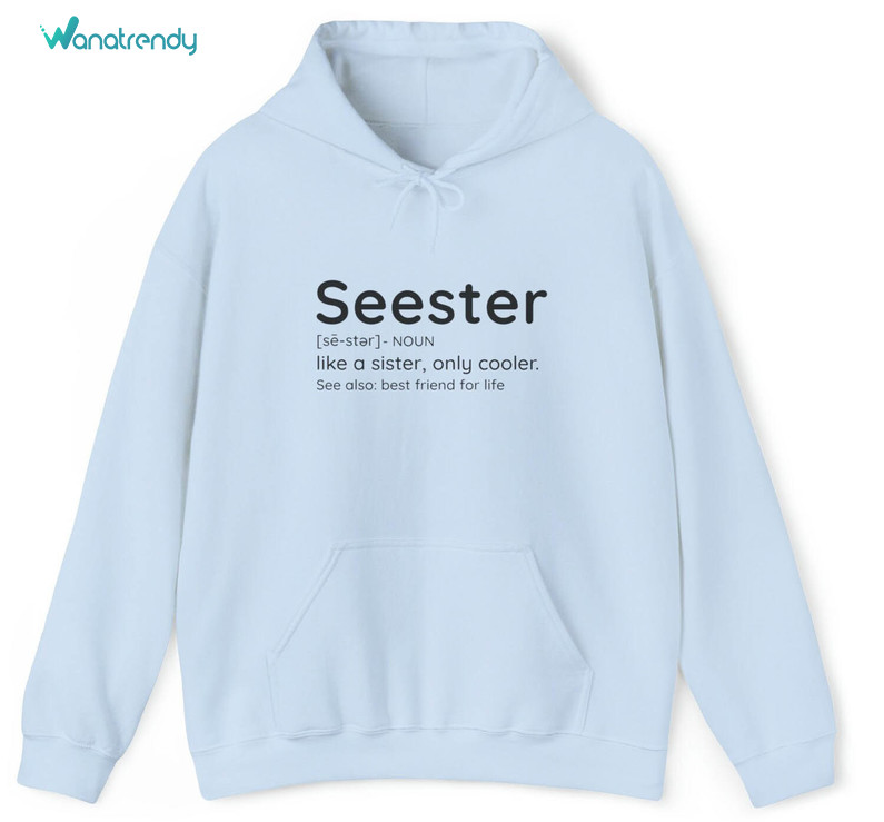 Limited Seester Sweatshirt, Must Have Seester Noun Shirt Long Sleeve