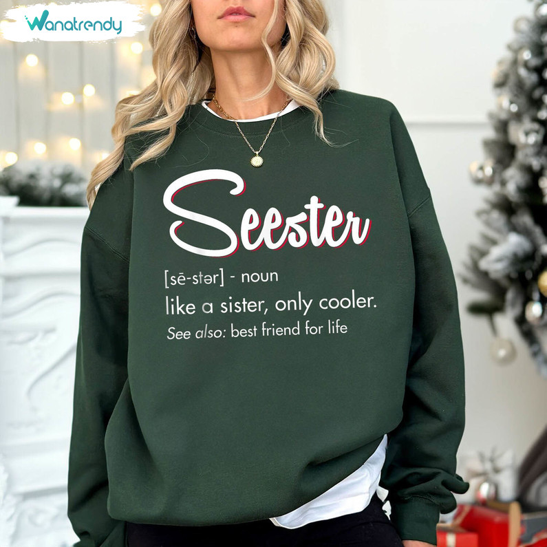Awesome Seester Noun Shirt, Limited Seester Definition Long Sleeve Unisex Hoodie