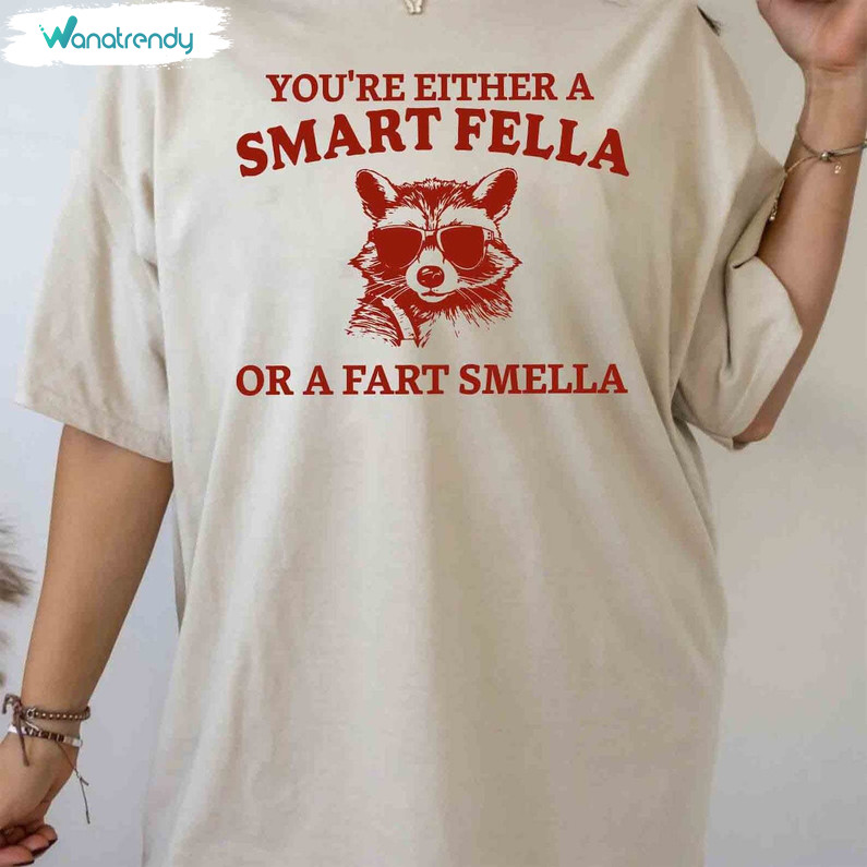 Groovy Smart Fella Or Fart Smells Shirt, Neutral Meme T Shirt Unisex Hoodie