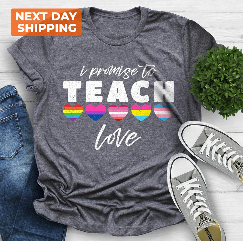 I Promise To Teach Love Special Education Shirt
