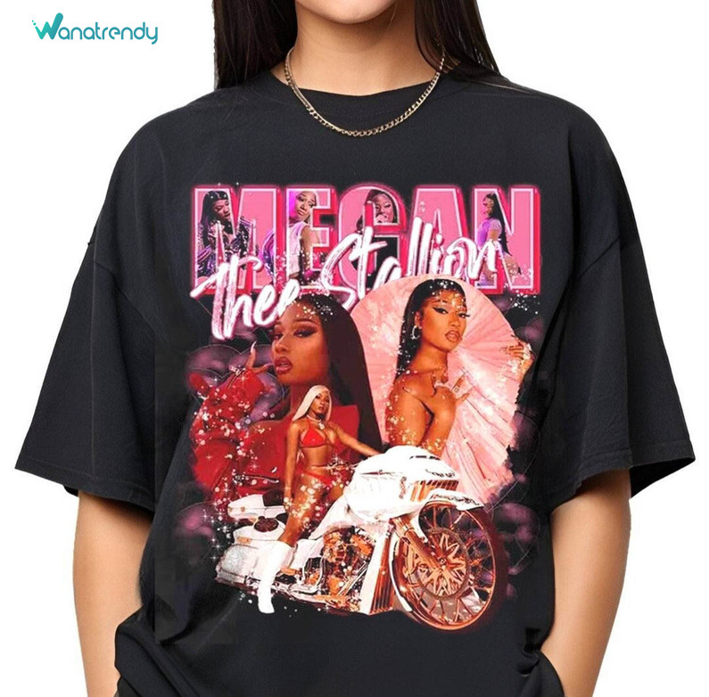 Creative Megan Thee Stallion Shirt, Retro Hiss Unisex Hoodie Tank Top Gift For Her Him
