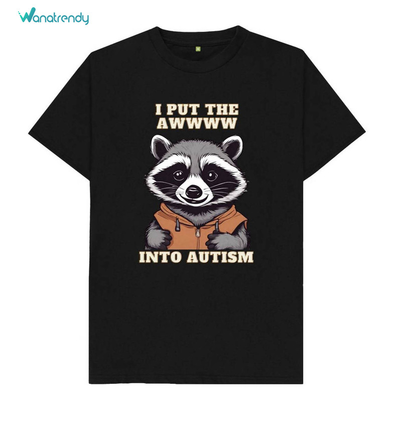 Cute Raccoon Autism Acceptance Shirt, Support Autism Tee Tops Hoodie