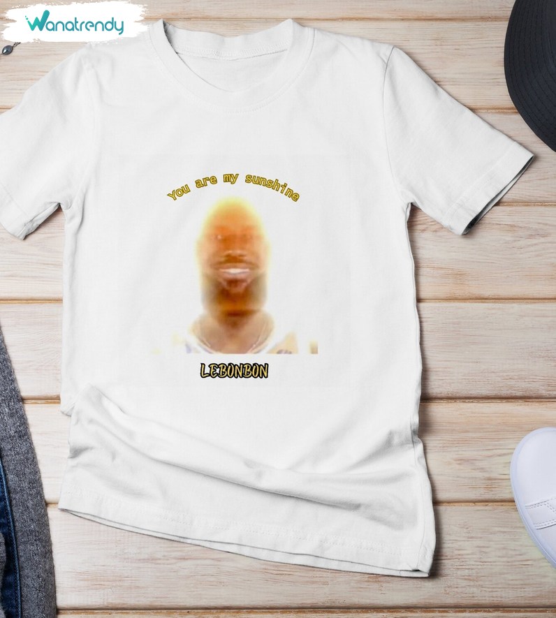 You Are My Sunshine Lebron James Shirt, Viral Meme Long Sleeve Hoodie