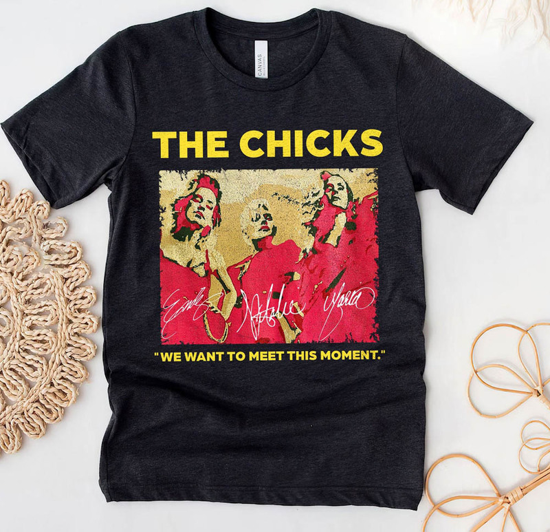 The Chicks Country Band We Want To Meet This Moment Shirt