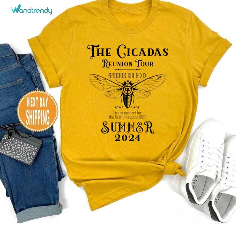 2024 Bug Humor Goblincore Insect Hoodie, Funny Cicada Comeback Tour Shirt Sweater