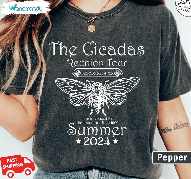 Cicadas Summer Scream Reunion Tour 2024 T Shirt, Cicada Comeback Tour Shirt Tee Tops