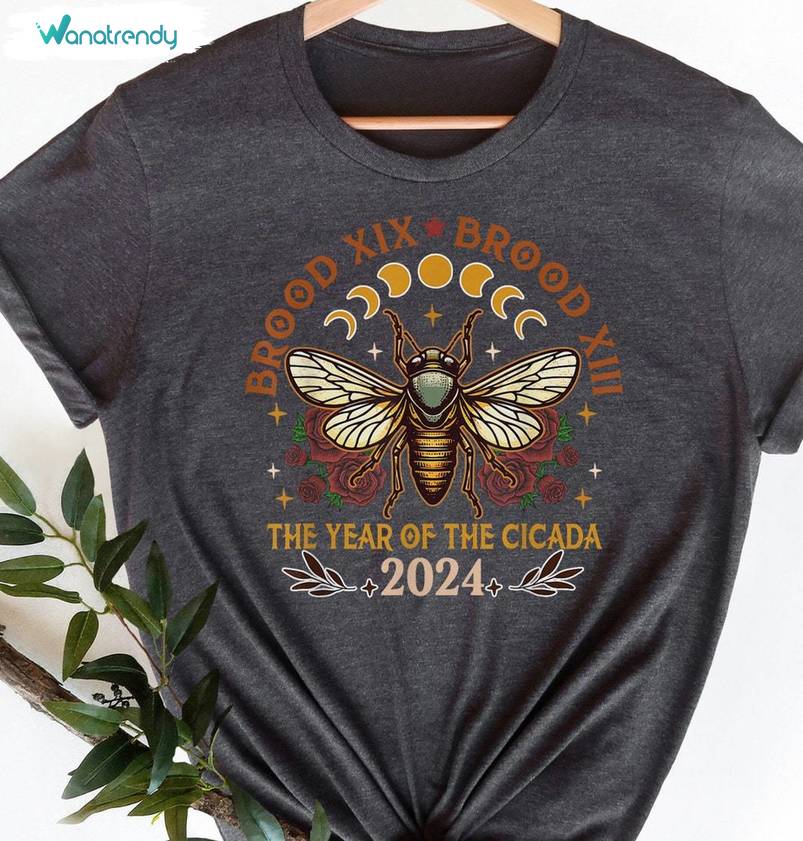 Comfort Cicada Comeback Tour Shirt, Funny Cicada Concert T Shirt Crewneck
