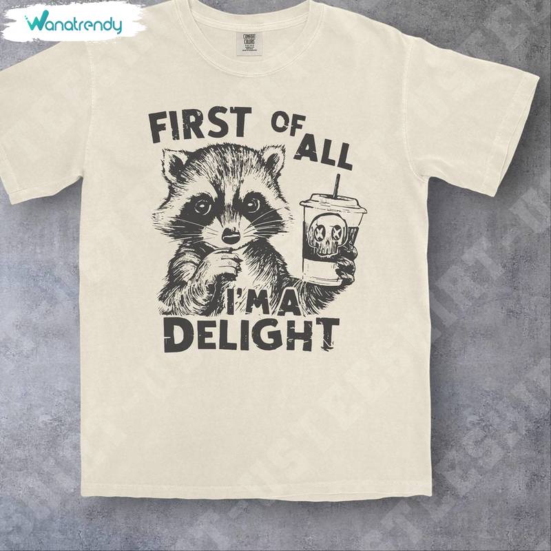Funny First Of All I'm A Delight Shirt, Raccoon Hoodie T-Shirt