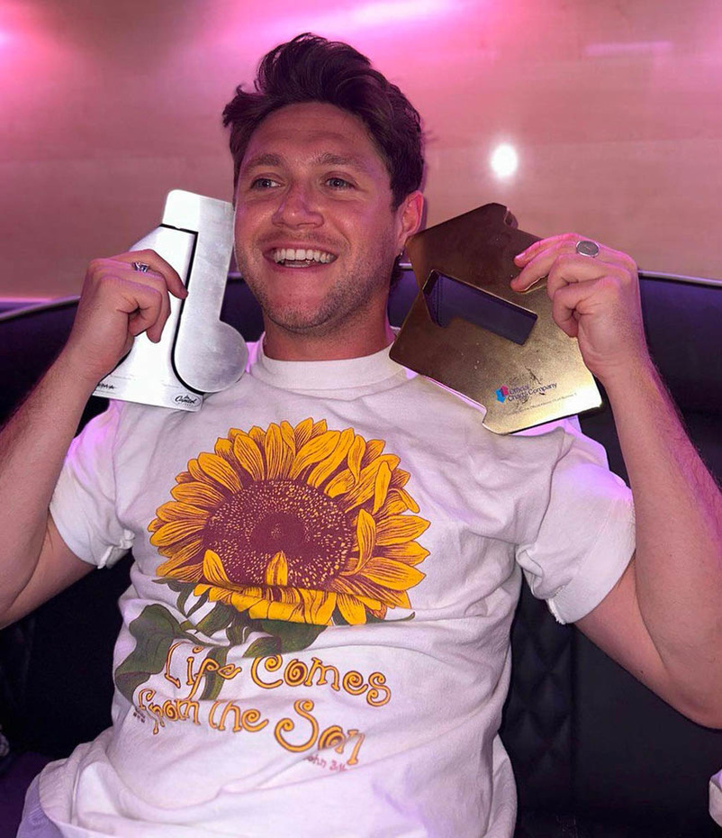 Niall Horan Life Comes From The Son Shirt, Niall Horan Sunflower Short Sleeve Long Sleeve
