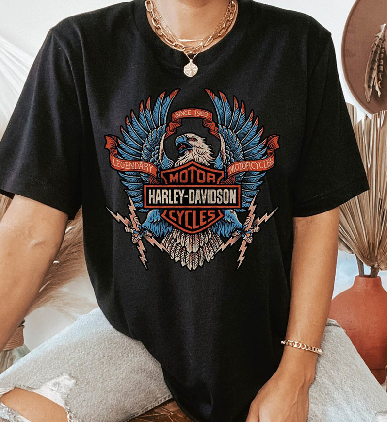 Harley Davidson Eagle Shirt, Retro Bull Biketoberfest Bull Bike Week Sweatshirt Sweater